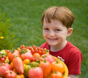 Boy and Tomatoes