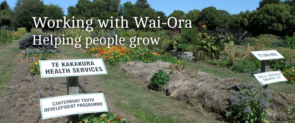 Working with Wai-Ora