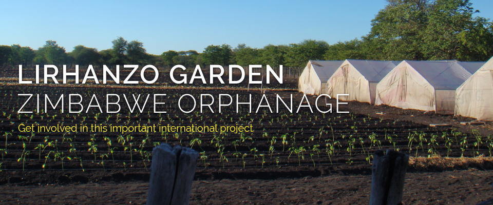 Zimbabwe Orphanage Garden