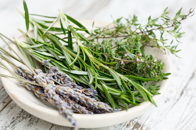 Rosemary Herb of the Month