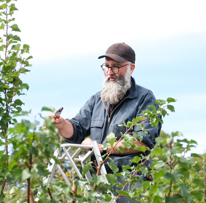Home Orchard Care