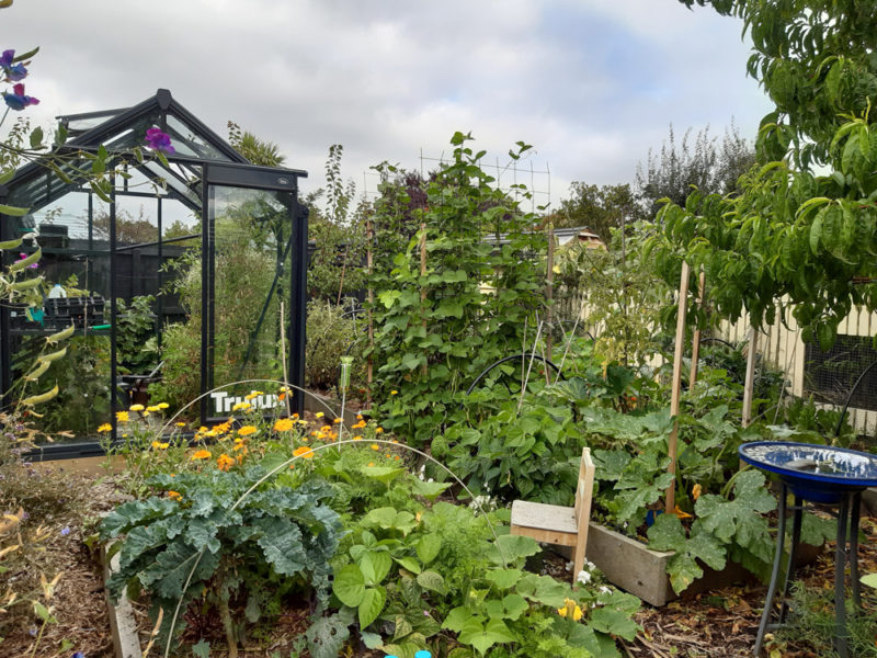 Edible and Sustainable Garden Awards 2021 Results