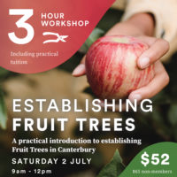 Establishing Fruit Trees Workshop