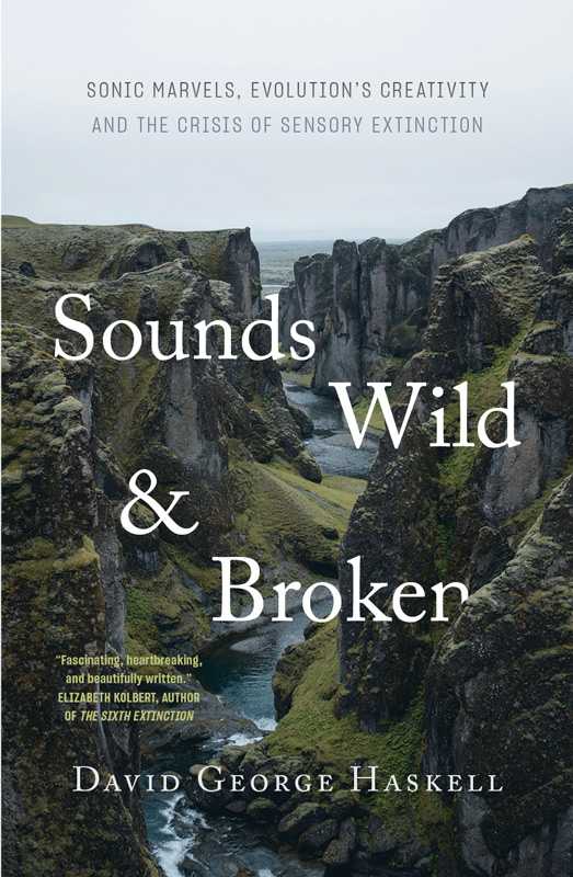 Sounds Wild and Broken: Sonic Marvels, Evolution’s Creativity and the Crisis of Sensory