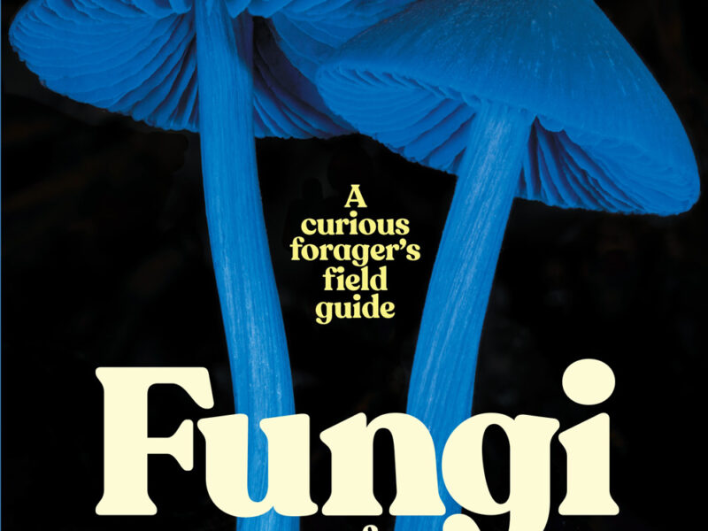 Fungi of Aotearoa New Zealand: A Curious Forager’s Field Guide