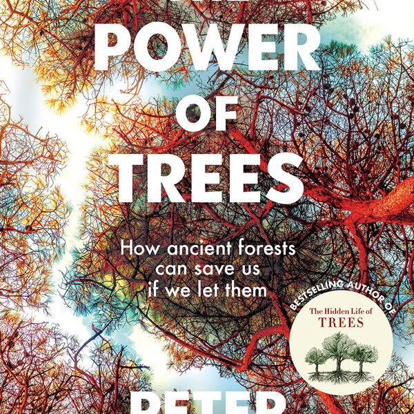 The Power of Trees Book Review The Power of Trees Book Review