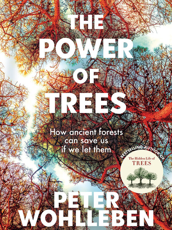 The Power of Trees Book Review
