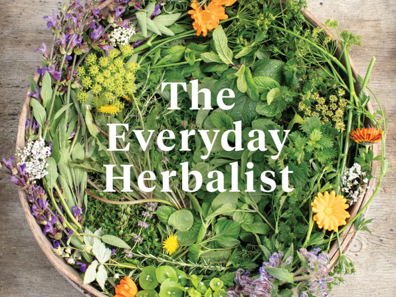 The Everyday Herbalist Book Review