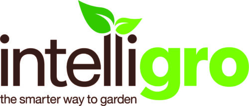 Intelligro