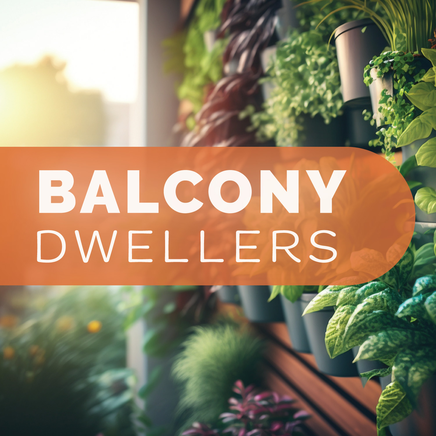 Balcony Dwellers