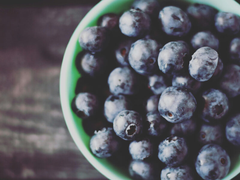 Blueberries: Plant of the Month Blueberries: Plant of the Month