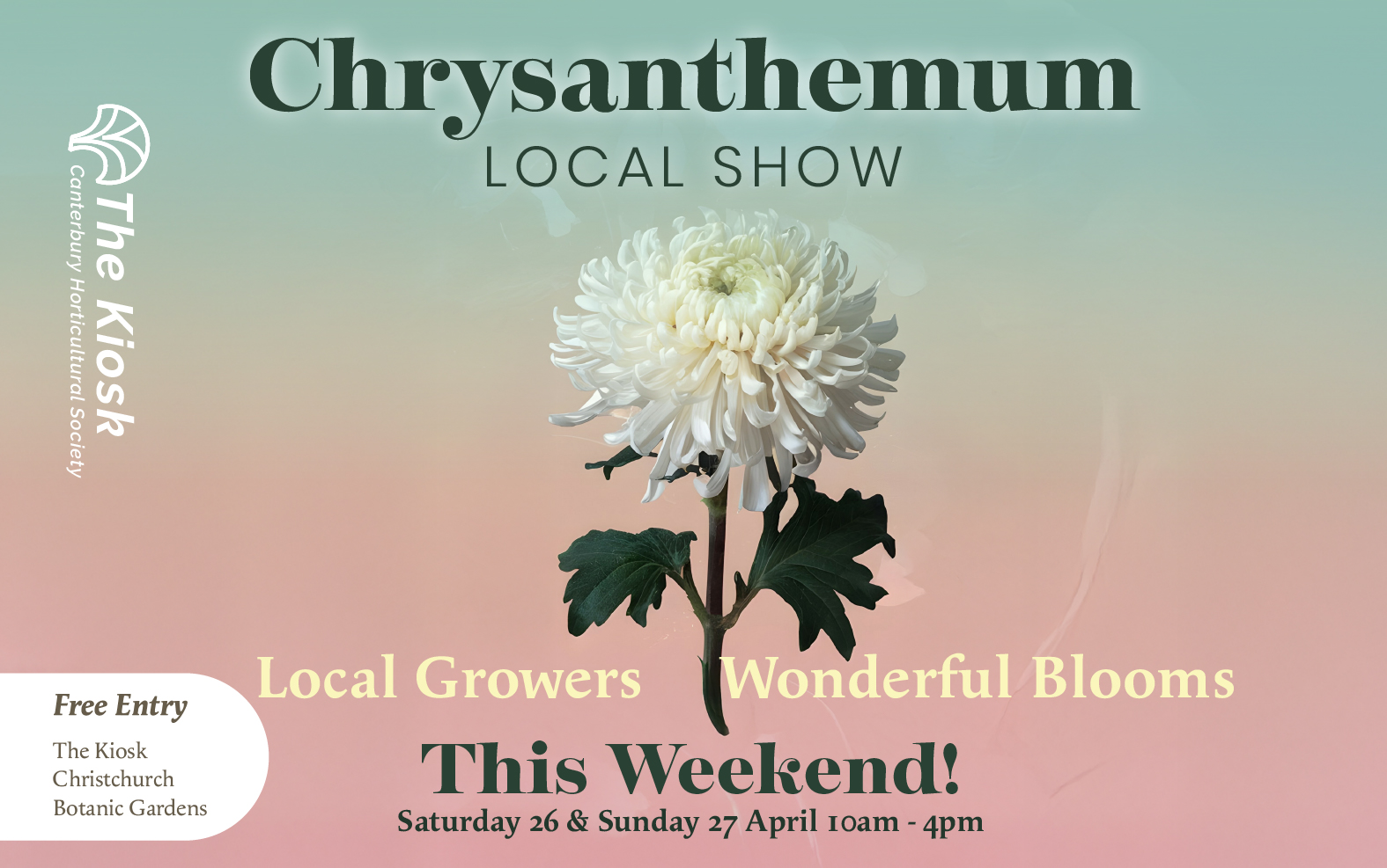 Chrysanthemum Show at the Kiosk Christchurch