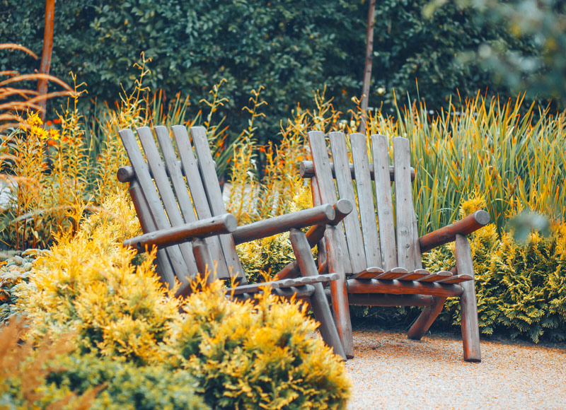 Autumn’s Last Hurrah – Your Christchurch Garden in May Autumn’s Last Hurrah – Your Christchurch Garden in May