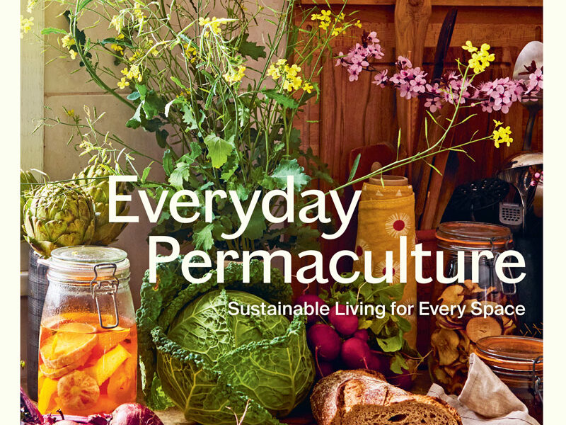 Everyday Permaculture: Sustainable Living For Every Space Everyday Permaculture: Sustainable Living For Every Space