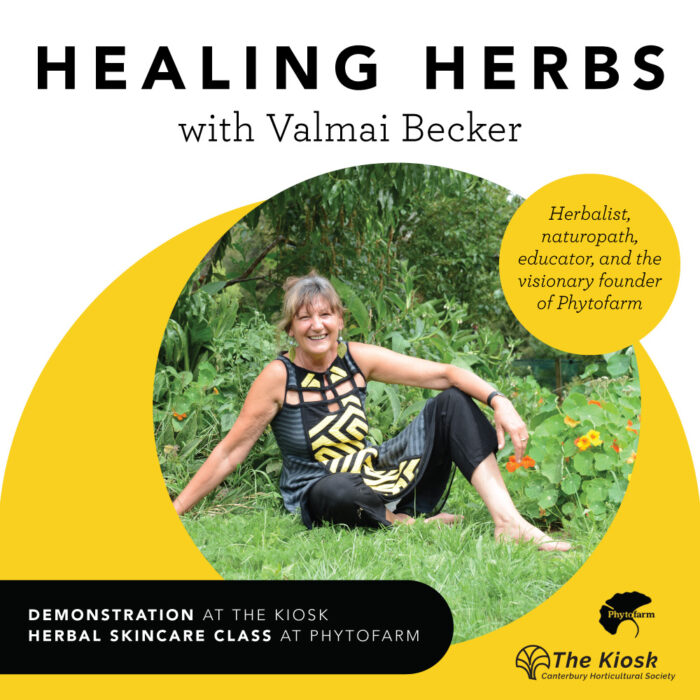 Healing through Herbs