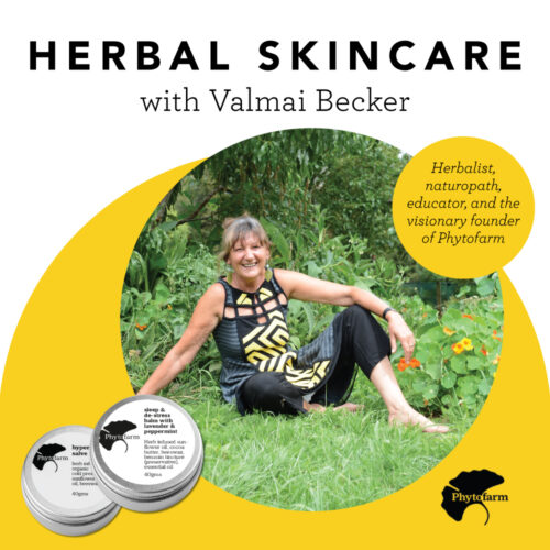 Herbal Skincare Worksop with Valmai Becker