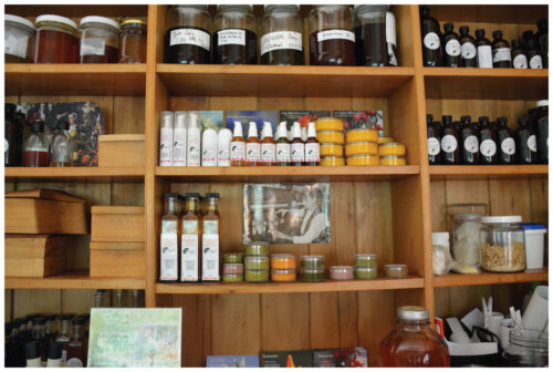 Herbal Skincare Worksop with Valmai Becker - Image 4