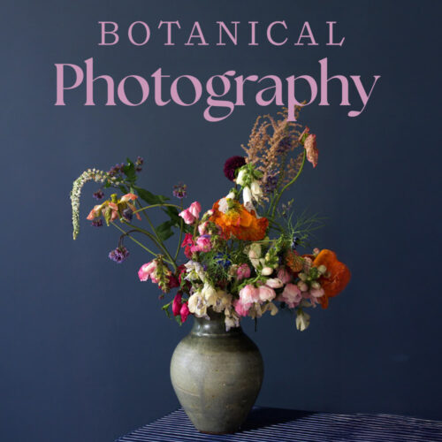 Botanical Photography Workshop